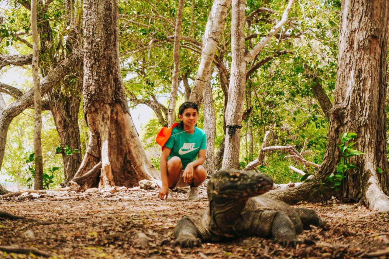 Komodoku One Love Homestay And Tour Labuan Bajo Esterno foto
