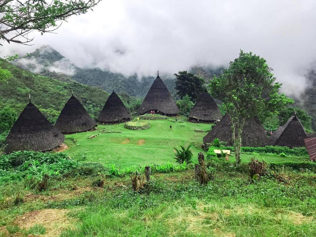Komodoku One Love Homestay And Tour Labuan Bajo Esterno foto